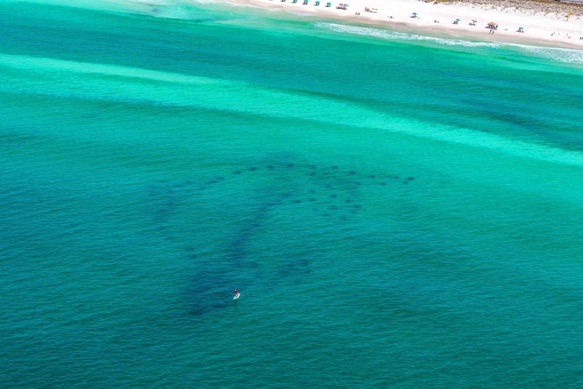 Ariel Dunes I 203 Destin Extérieur photo